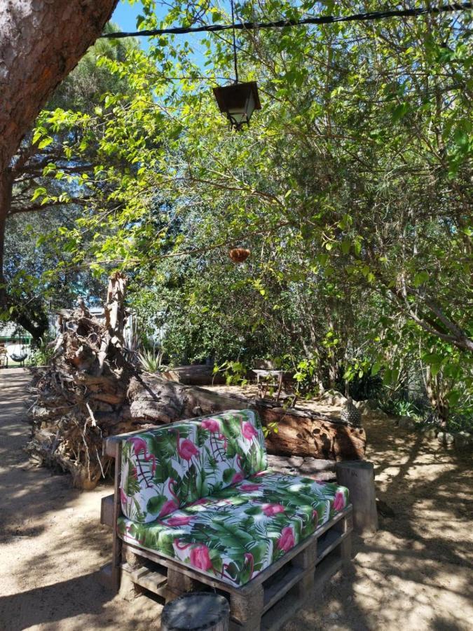 Hostal Los Pinares Lloret de Mar Kültér fotó