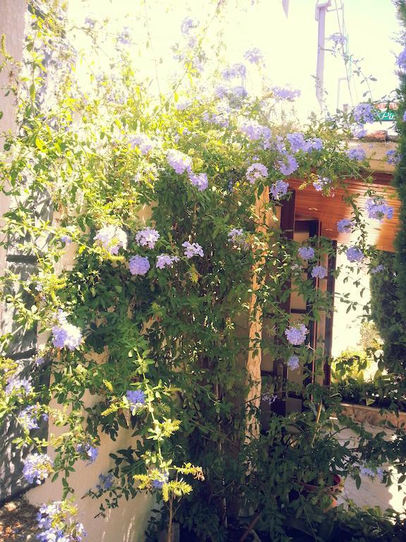 Hostal Los Pinares Lloret de Mar Kültér fotó